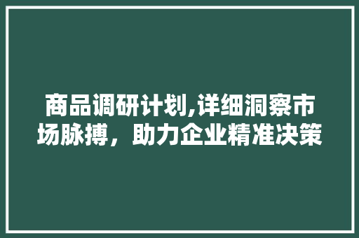 商品调研计划,详细洞察市场脉搏，助力企业精准决策