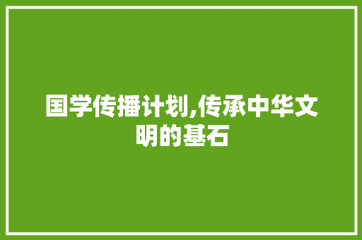 国学传播计划,传承中华文明的基石