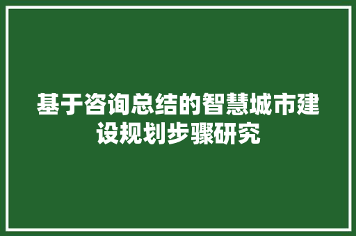 基于咨询总结的智慧城市建设规划步骤研究