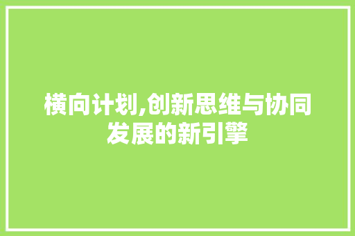 横向计划,创新思维与协同发展的新引擎