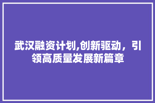 武汉融资计划,创新驱动，引领高质量发展新篇章