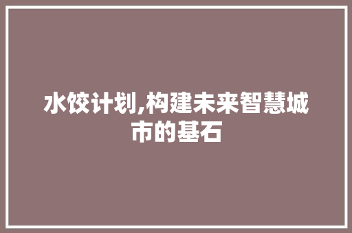 水饺计划,构建未来智慧城市的基石