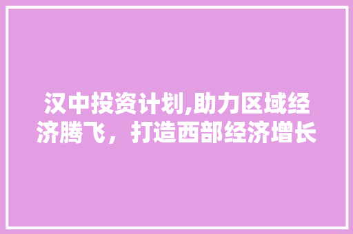 汉中投资计划,助力区域经济腾飞，打造西部经济增长新引擎