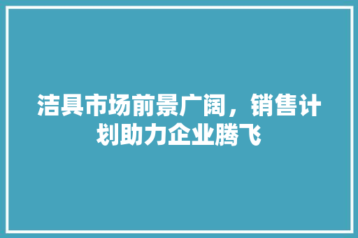 洁具市场前景广阔，销售计划助力企业腾飞
