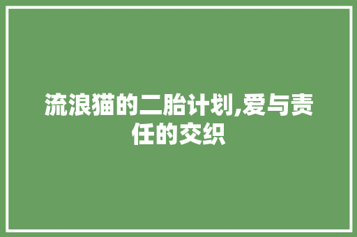 流浪猫的二胎计划,爱与责任的交织