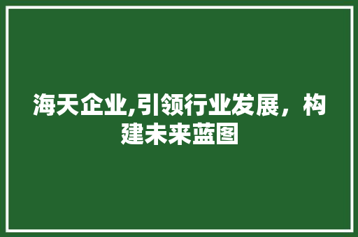 海天企业,引领行业发展，构建未来蓝图 词汇积累