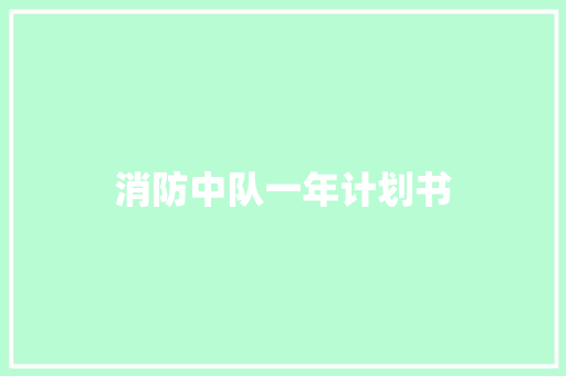 消防中队一年计划书