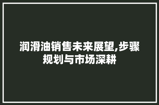 润滑油销售未来展望,步骤规划与市场深耕