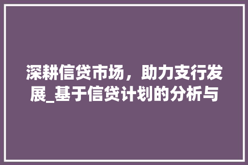 深耕信贷市场，助力支行发展_基于信贷计划的分析与展望