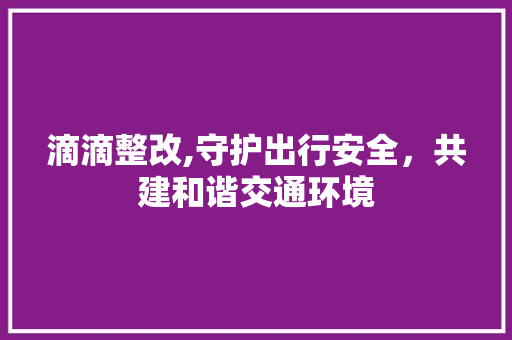 滴滴整改,守护出行安全，共建和谐交通环境 写作社区
