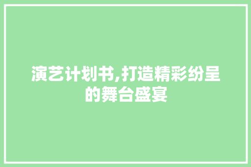 演艺计划书,打造精彩纷呈的舞台盛宴