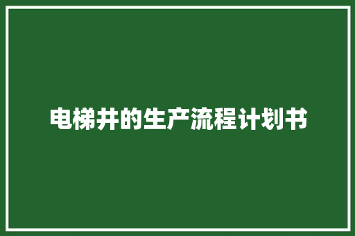 电梯井的生产流程计划书