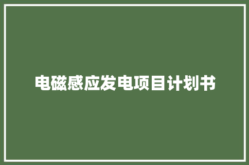 电磁感应发电项目计划书
