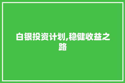 白银投资计划,稳健收益之路