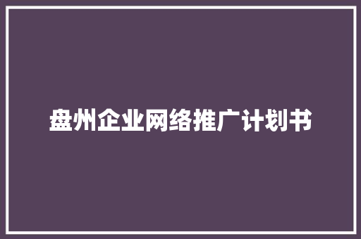 盘州企业网络推广计划书