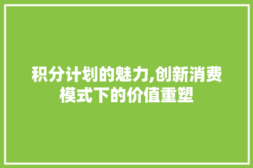 积分计划的魅力,创新消费模式下的价值重塑