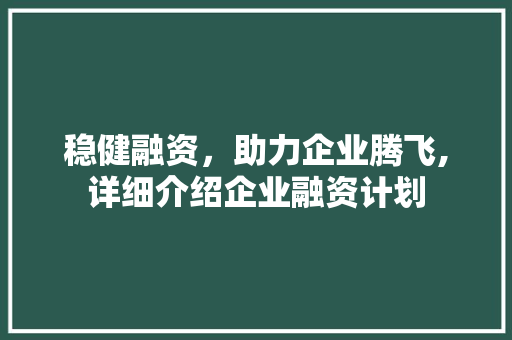 稳健融资，助力企业腾飞,详细介绍企业融资计划
