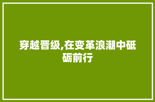 穿越晋级,在变革浪潮中砥砺前行