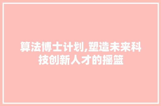 算法博士计划,塑造未来科技创新人才的摇篮