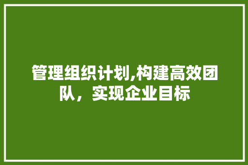 管理组织计划,构建高效团队，实现企业目标