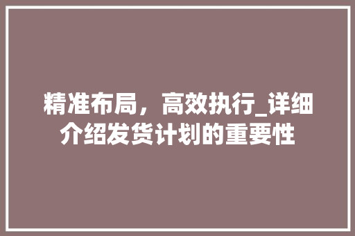 精准布局，高效执行_详细介绍发货计划的重要性