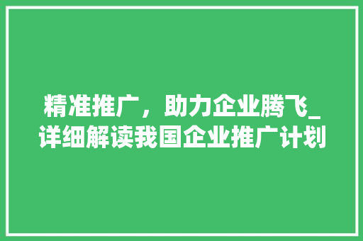 精准推广，助力企业腾飞_详细解读我国企业推广计划书