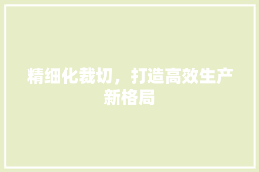 精细化裁切，打造高效生产新格局