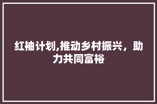 红袖计划,推动乡村振兴，助力共同富裕