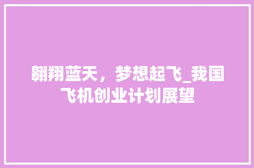 翱翔蓝天，梦想起飞_我国飞机创业计划展望 范文赏析