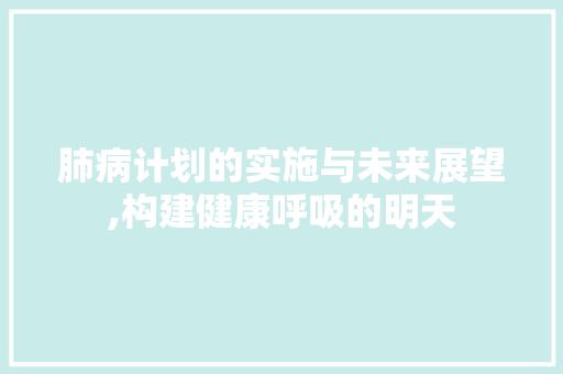 肺病计划的实施与未来展望,构建健康呼吸的明天