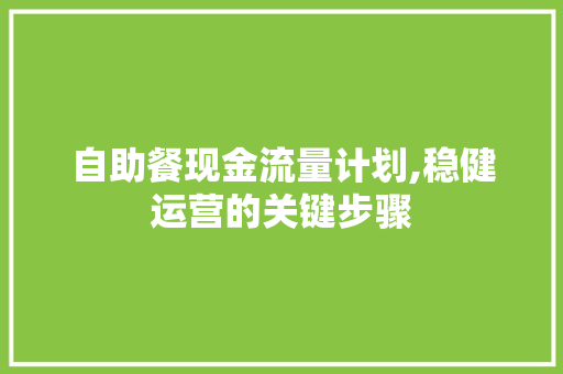自助餐现金流量计划,稳健运营的关键步骤
