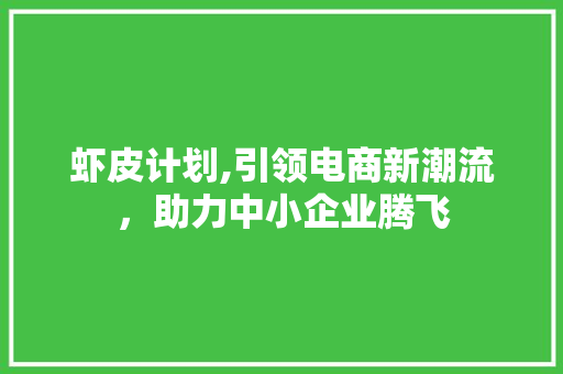 虾皮计划,引领电商新潮流，助力中小企业腾飞