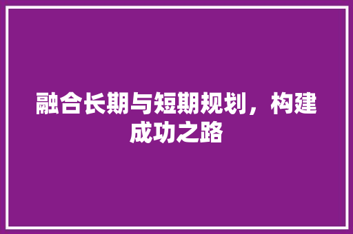 融合长期与短期规划，构建成功之路