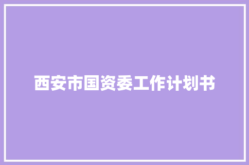 西安市国资委工作计划书