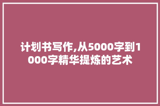 计划书写作,从5000字到1000字精华提炼的艺术