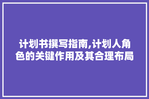 计划书撰写指南,计划人角色的关键作用及其合理布局