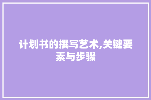 计划书的撰写艺术,关键要素与步骤