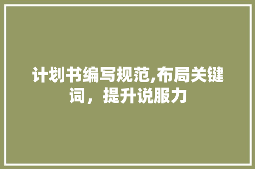 计划书编写规范,布局关键词，提升说服力