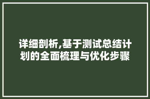 详细剖析,基于测试总结计划的全面梳理与优化步骤 简历模板