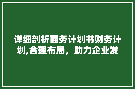 详细剖析商务计划书财务计划,合理布局，助力企业发展