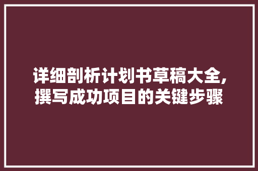 详细剖析计划书草稿大全,撰写成功项目的关键步骤 词汇积累