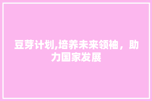 豆芽计划,培养未来领袖，助力国家发展