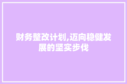 财务整改计划,迈向稳健发展的坚实步伐