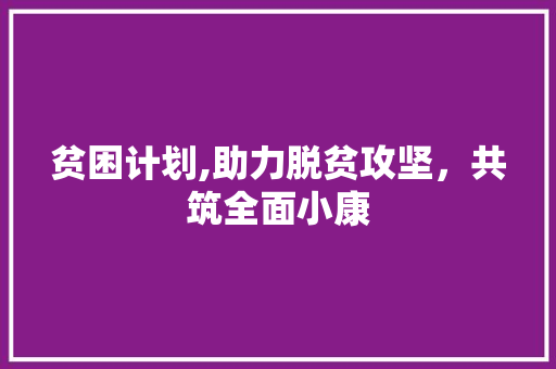 贫困计划,助力脱贫攻坚，共筑全面小康