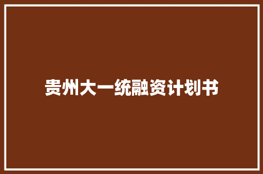 贵州大一统融资计划书