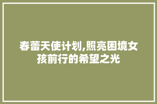 春蕾天使计划,照亮困境女孩前行的希望之光
