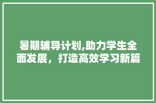 暑期辅导计划,助力学生全面发展，打造高效学习新篇章