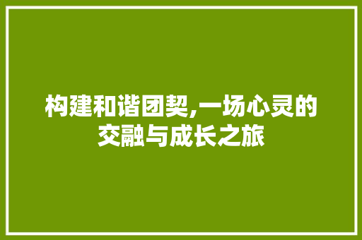 构建和谐团契,一场心灵的交融与成长之旅