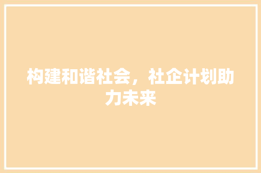 构建和谐社会，社企计划助力未来