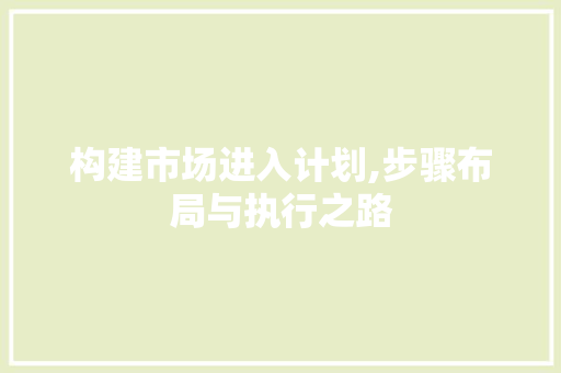 构建市场进入计划,步骤布局与执行之路